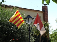 Diada Nacional de Catalunya 2010