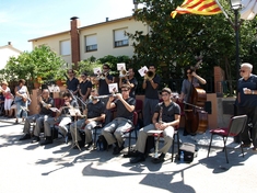 Diada Nacional de Catalunya 2010