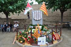 Diada Nacional de Catalunya 2013