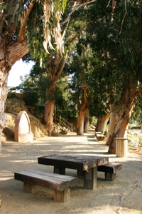 Parc del Germans Gabrielistes
