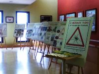 Exposició mosquit tigre