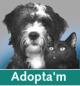 Adopci� animals de companyia