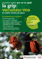Cartell Campanya vacunació grip 2008