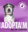 Adopci� Mascotes