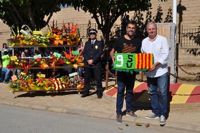 Diada Nacional de Catalunya 2017