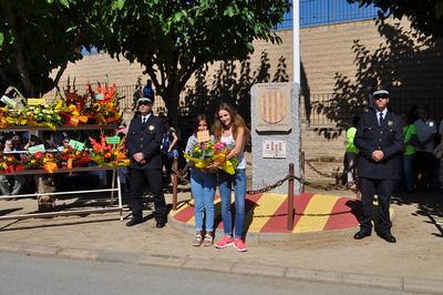 Diada Nacional de Catalunya 2017