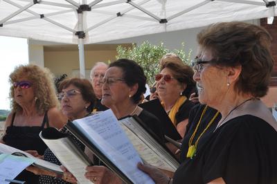 Diada Nacional de Catalunya 2018