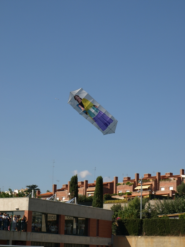 Recull d'imatges de la XVII Trobada de Gegants del Maresme - Foto 20535128