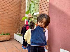 Escola Bressol Municipal Els Garrofers