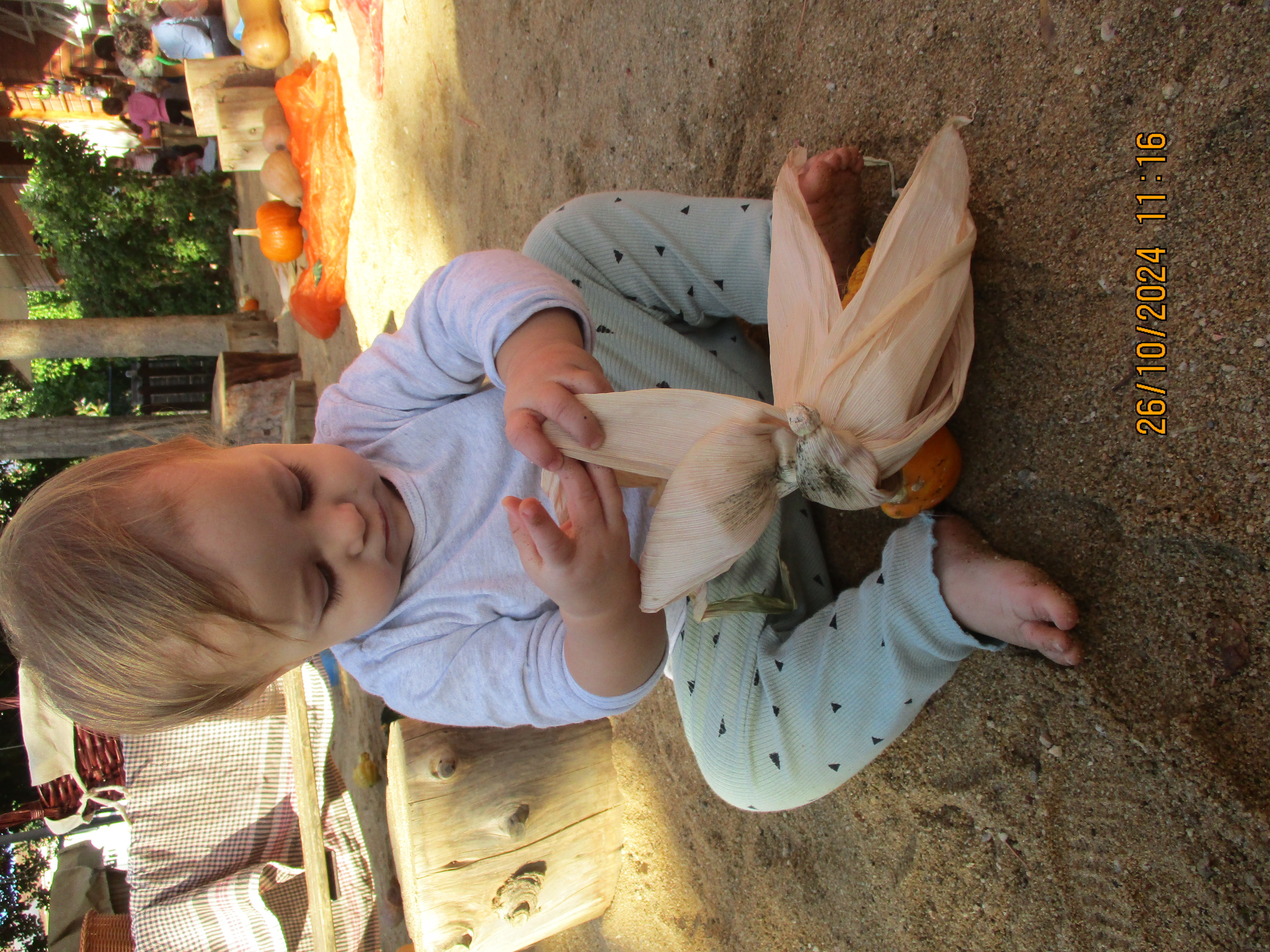 Escola Bressol Municipal Els Garrofers