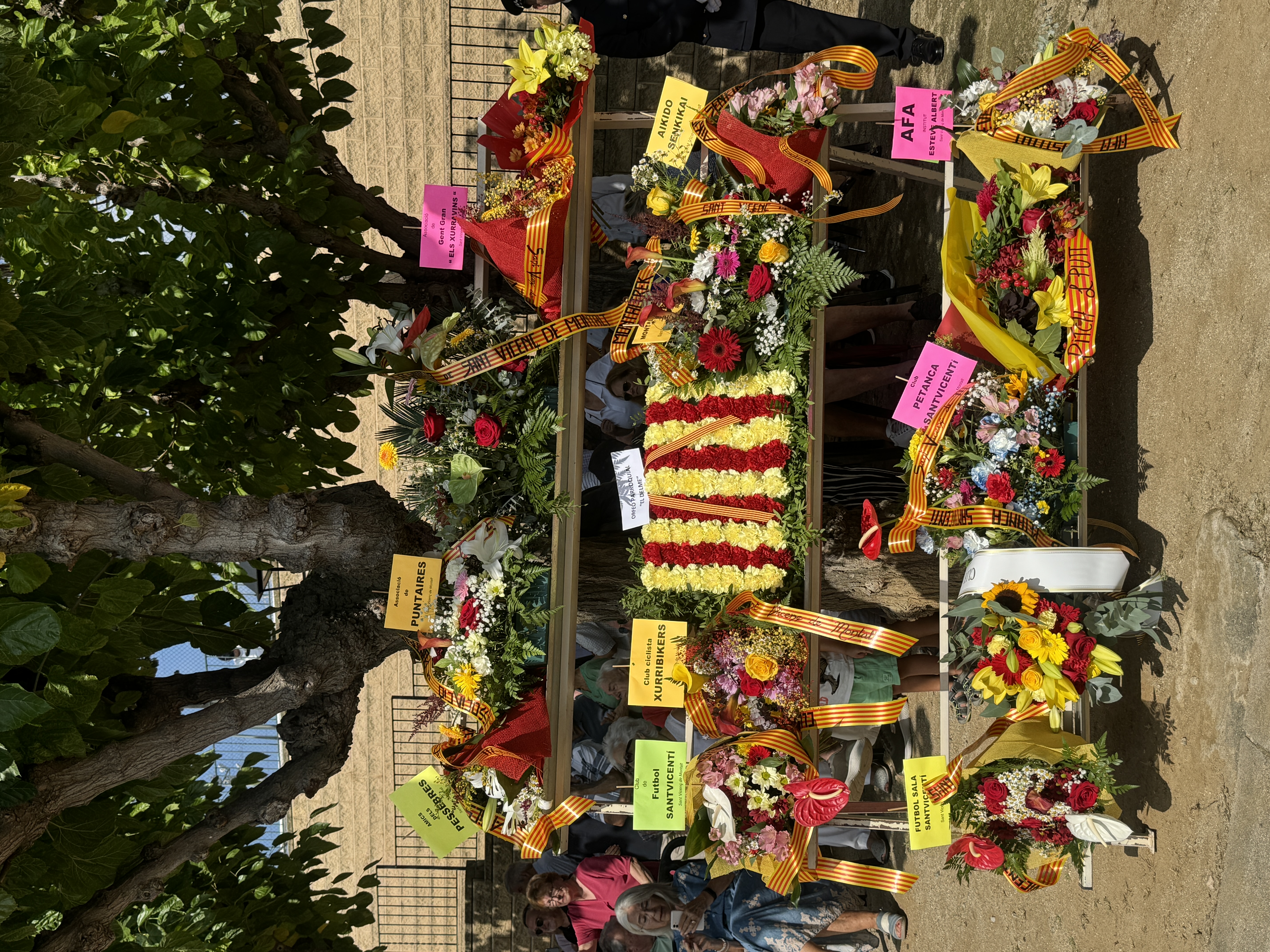 Diada Nacional de Catalunya 2024
