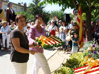 Diada Nacional de Catalunya 2010