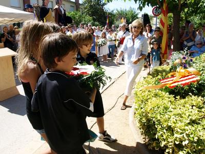 Diada Nacional de Catalunya 2010