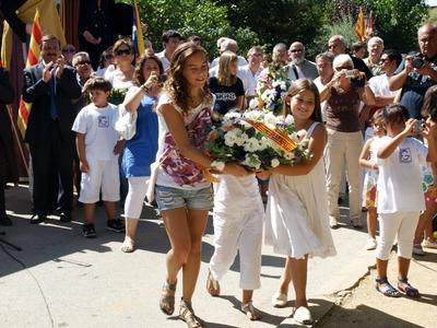 Diada Nacional de Catalunya 2010