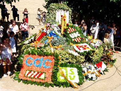 Diada Nacional de Catalunya 2010