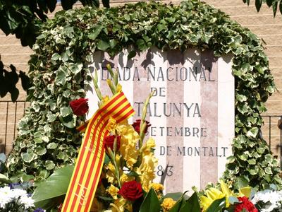 Diada Nacional de Catalunya 2010