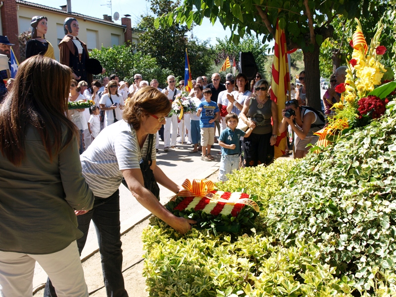 Diada Nacional de Catalunya 2010
