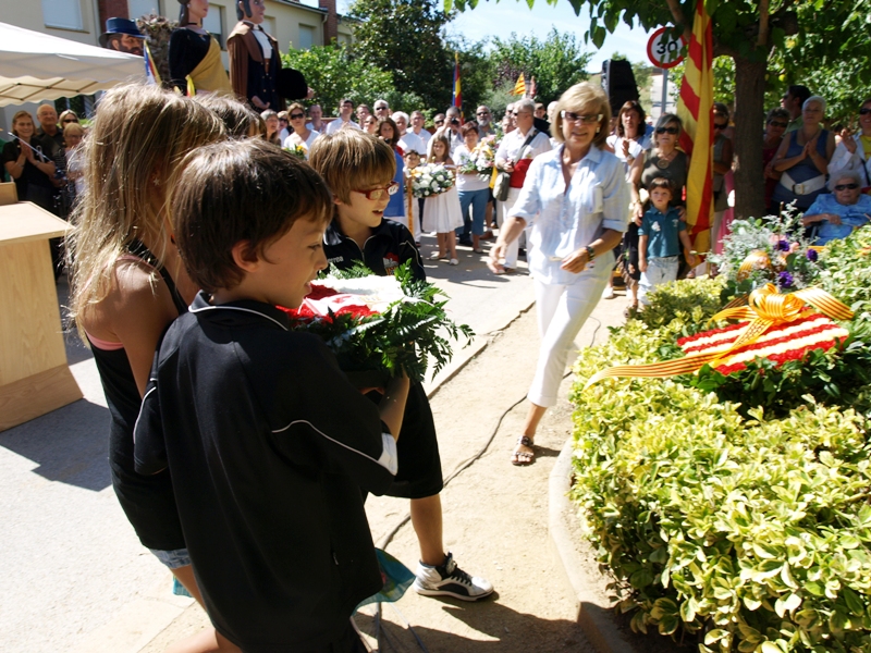 Diada Nacional de Catalunya 2010