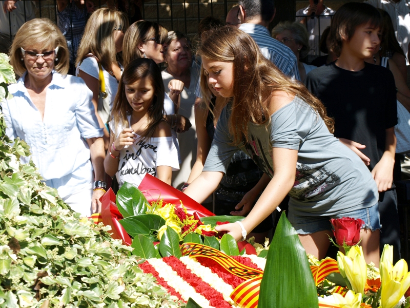Diada Nacional de Catalunya 2010