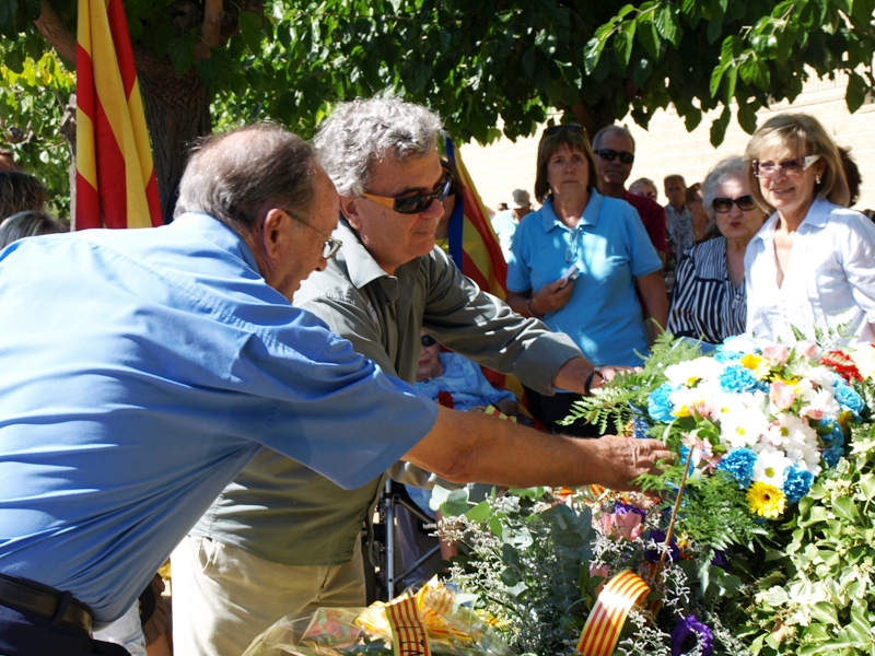 Diada Nacional de Catalunya 2010
