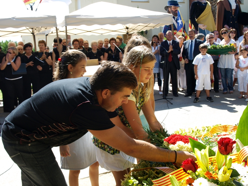 Diada Nacional de Catalunya 2010