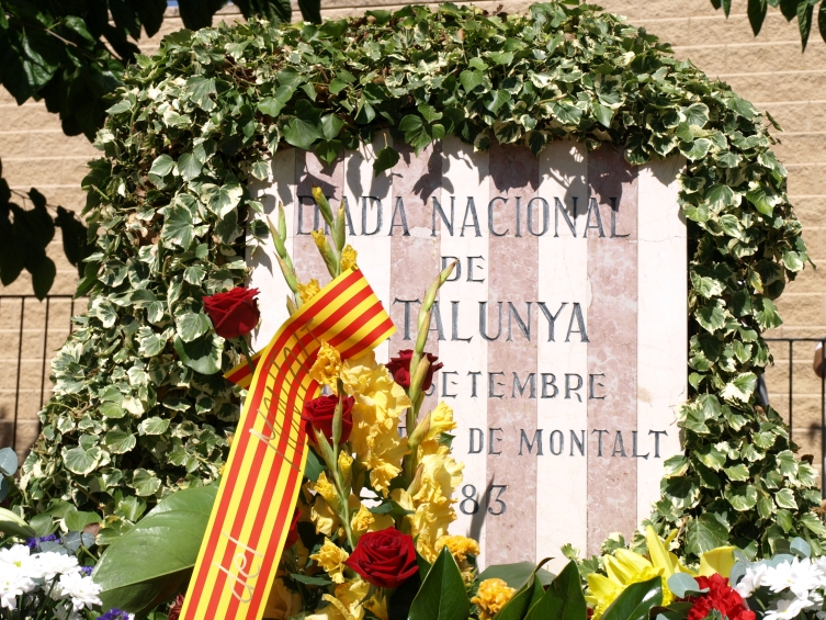 Diada Nacional de Catalunya 2010