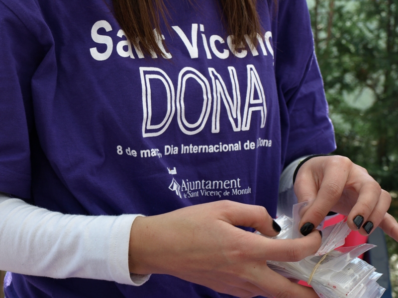 Sant Vicen DONA 2011