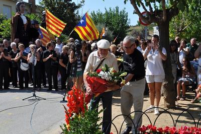 Diada Nacional de Catalunya 2011