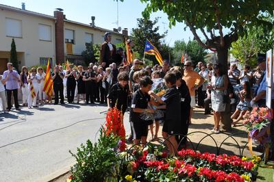 Diada Nacional de Catalunya 2011