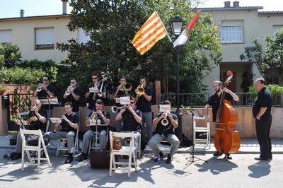 Diada Nacional de Catalunya 2011