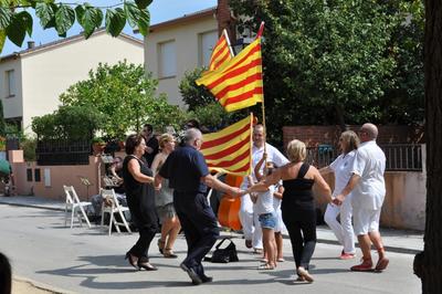 Diada Nacional de Catalunya 2011