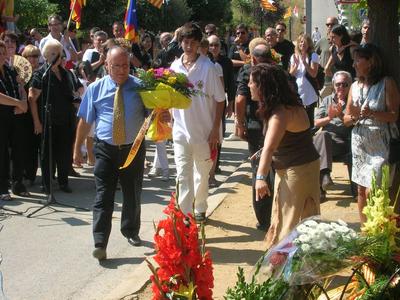 Diada Nacional de Catalunya 2011