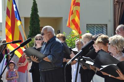 Diada Nacional de Catalunya 2011