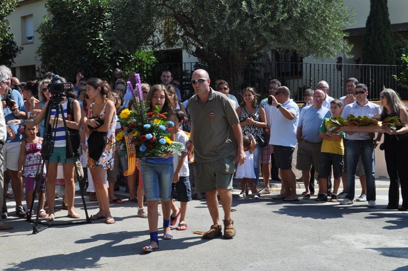 Diada Nacional de Catalunya 2011