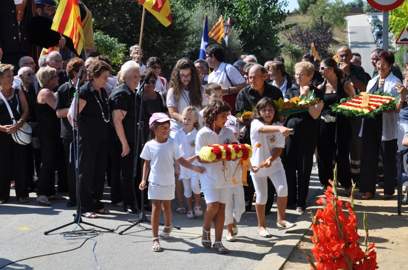 Diada Nacional de Catalunya 2011