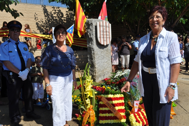 Diada Nacional de Catalunya 2011