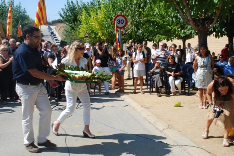 Diada Nacional de Catalunya 2011