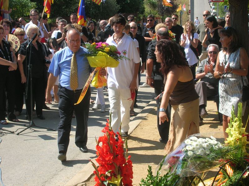 Diada Nacional de Catalunya 2011