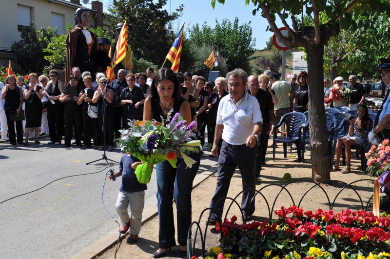 Diada Nacional de Catalunya 2011