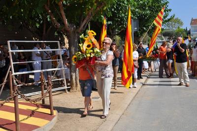 Diada Nacional de Catalunya 2012