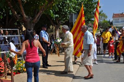 Diada Nacional de Catalunya 2012