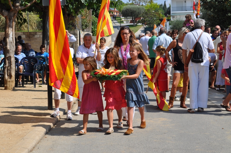 Diada Nacional de Catalunya 2012