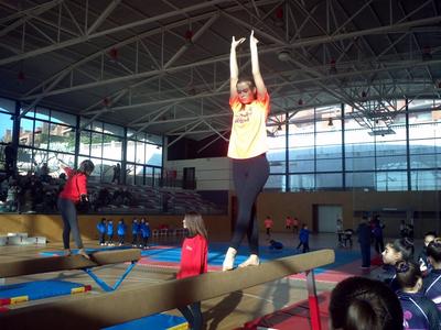 Campionat de gimnstica artstica