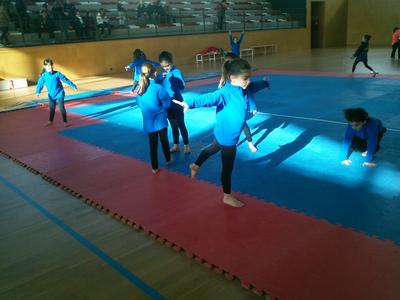 Campionat de gimnstica artstica