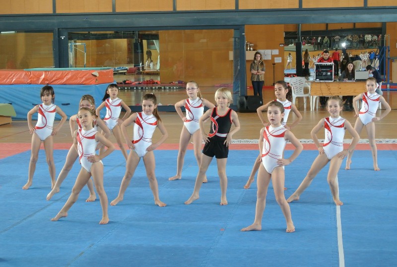 Campionat de gimnstica artstica