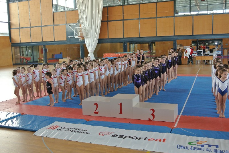 Campionat de gimnstica artstica