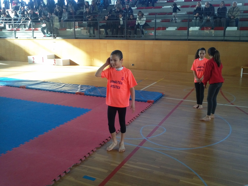 Campionat de gimnstica artstica