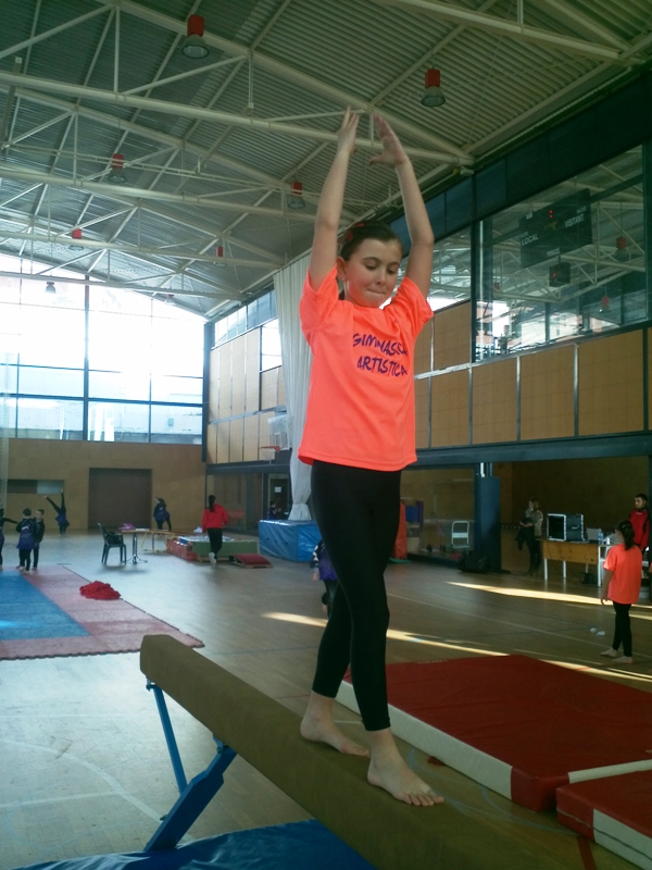 Campionat de gimnstica artstica