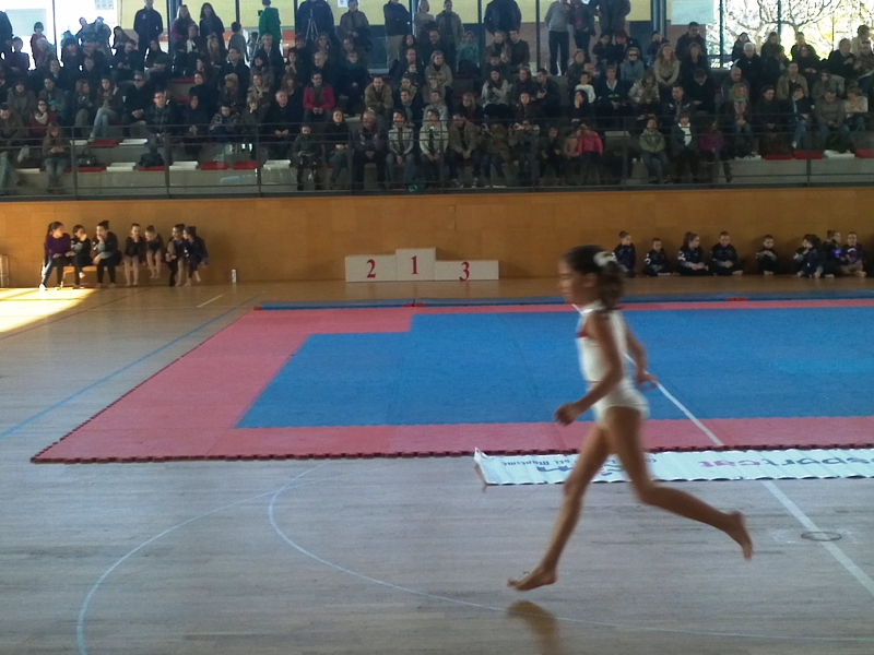 Campionat de gimnstica artstica