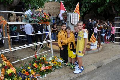 Diada Nacional de Catalunya 2013